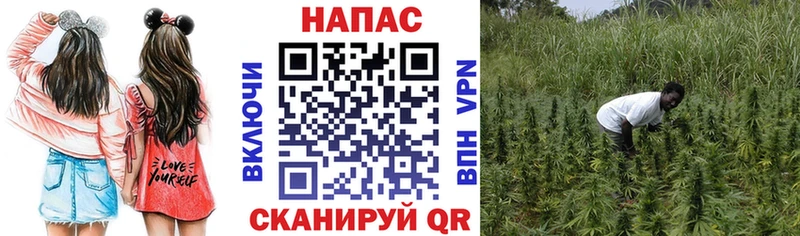 купить закладку  Югорск  МАРИХУАНА VHQ 